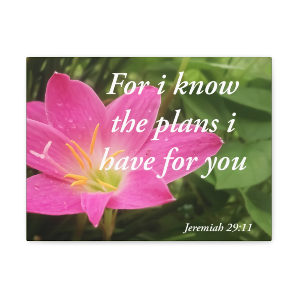 Plans I Have Jeremiah 29:11 Bible Verse Canvas Christian Wall Art Ready to Hang Unframed-Express Your Love Gifts