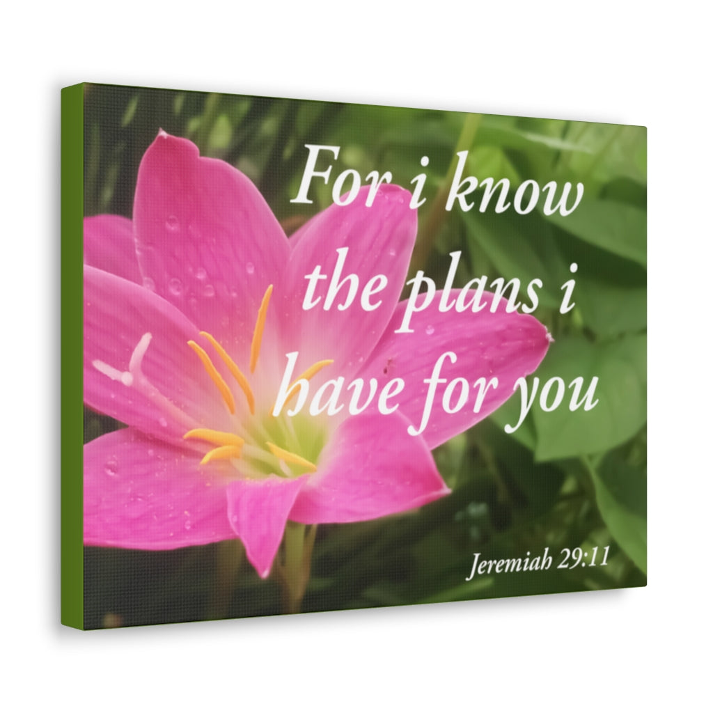 Plans I Have Jeremiah 29:11 Bible Verse Canvas Christian Wall Art Ready to Hang Unframed-Express Your Love Gifts