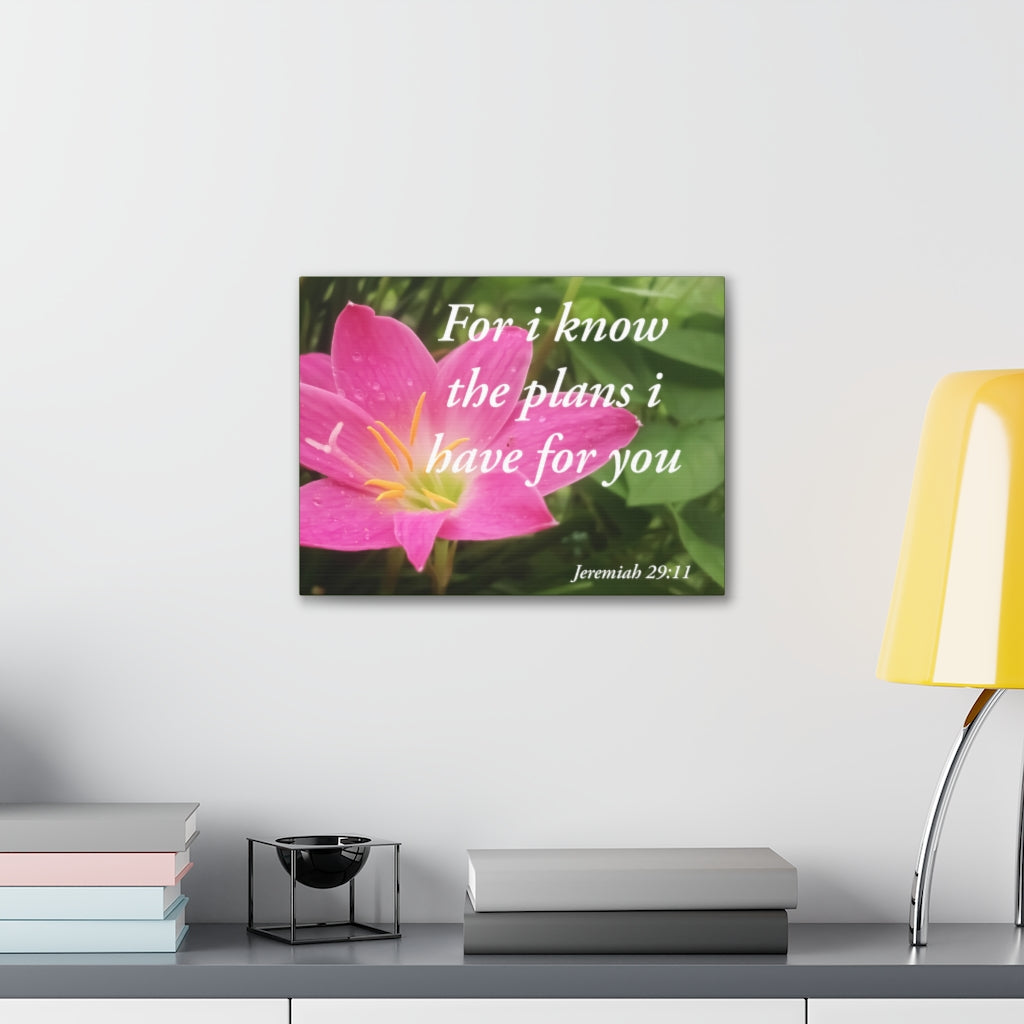 Plans I Have Jeremiah 29:11 Bible Verse Canvas Christian Wall Art Ready to Hang Unframed-Express Your Love Gifts