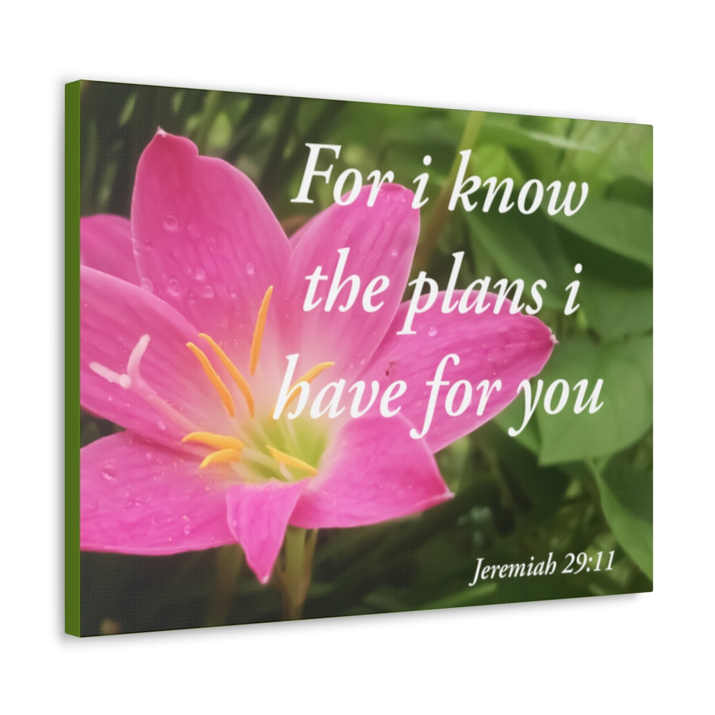 Plans I Have Jeremiah 29:11 Bible Verse Canvas Christian Wall Art Ready to Hang Unframed-Express Your Love Gifts
