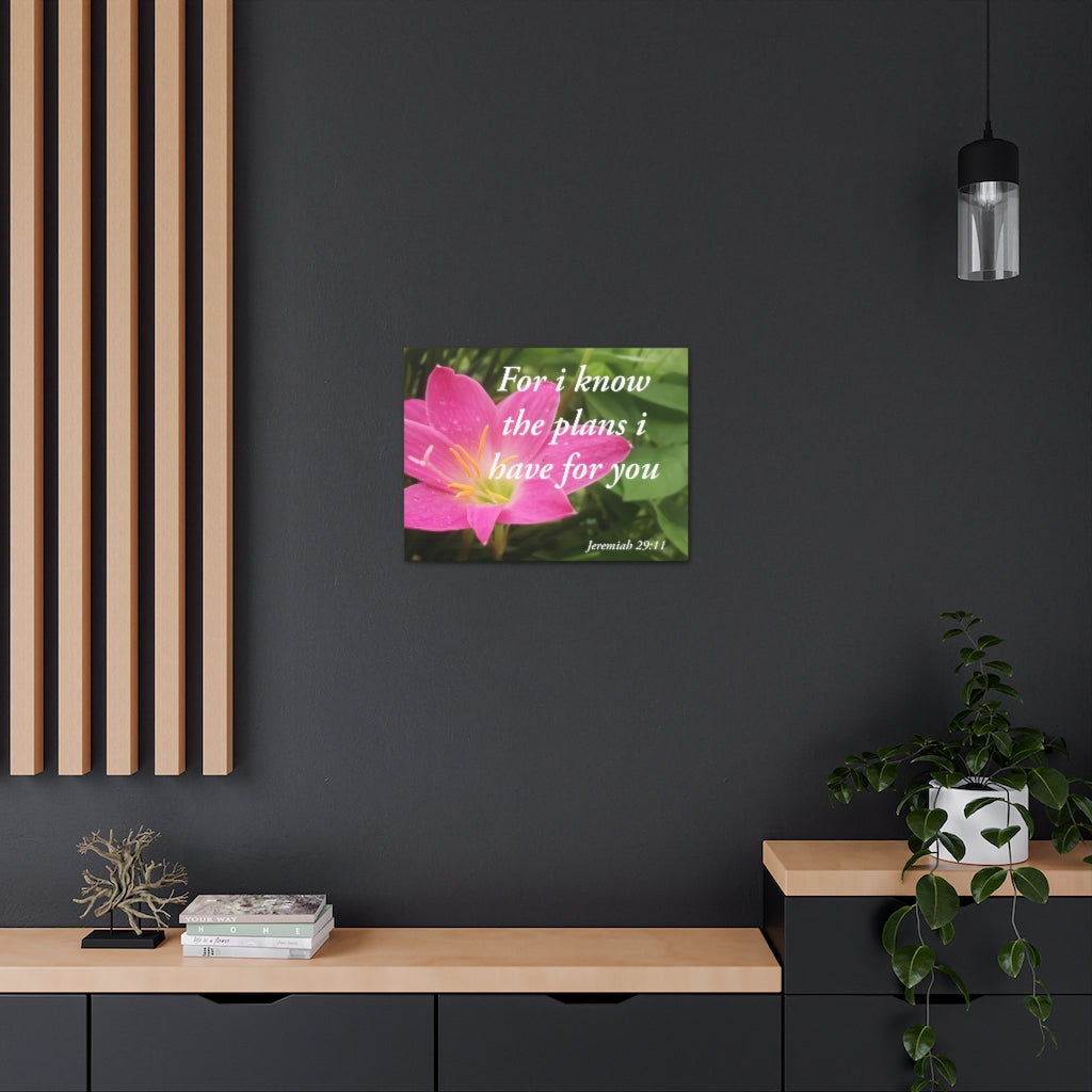 Plans I Have Jeremiah 29:11 Bible Verse Canvas Christian Wall Art Ready to Hang Unframed-Express Your Love Gifts