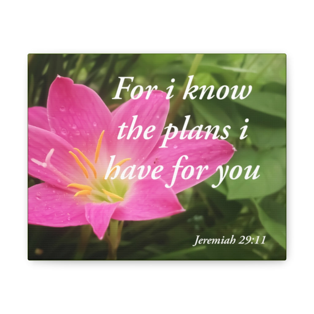 Plans I Have Jeremiah 29:11 Bible Verse Canvas Christian Wall Art Ready to Hang Unframed-Express Your Love Gifts