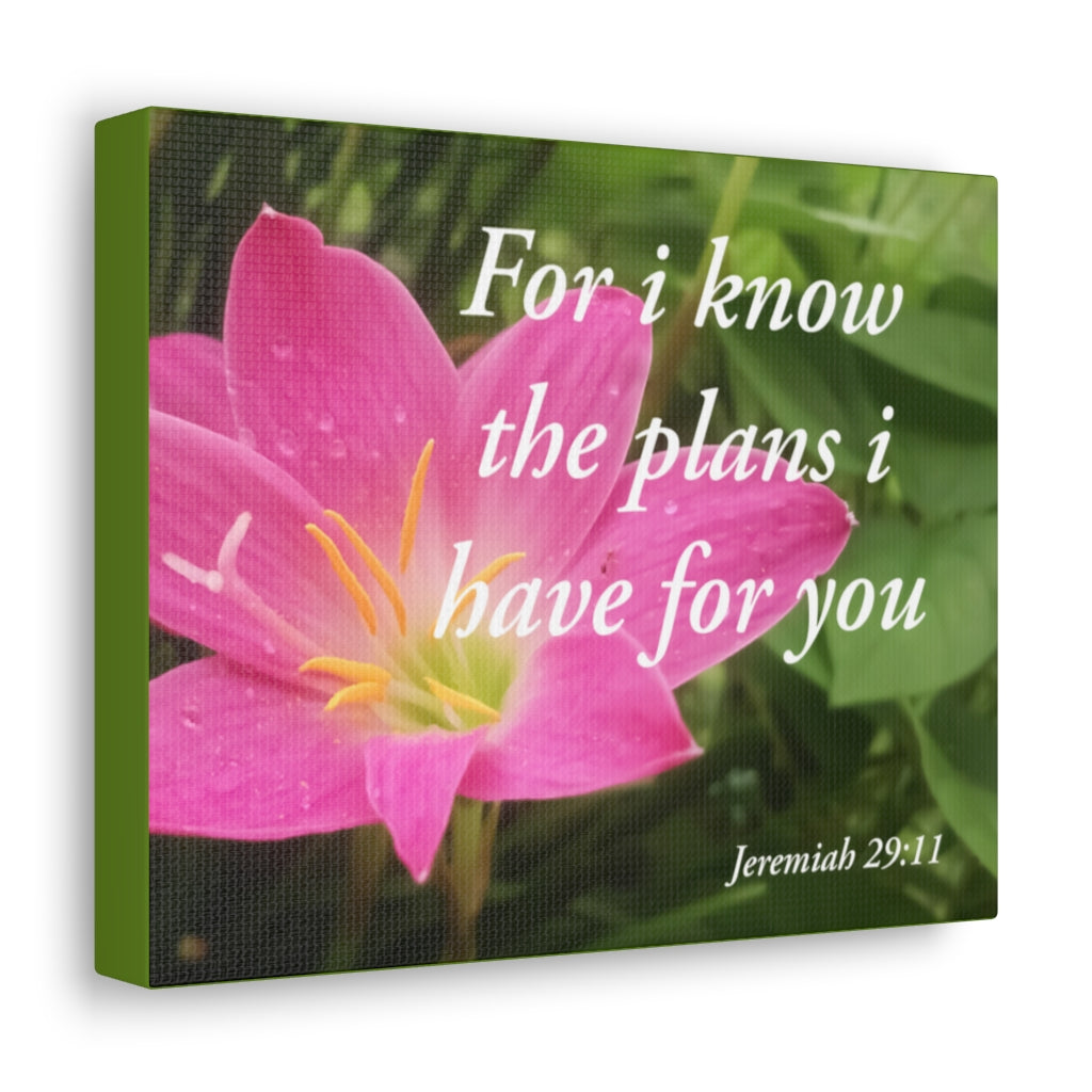 Plans I Have Jeremiah 29:11 Bible Verse Canvas Christian Wall Art Ready to Hang Unframed-Express Your Love Gifts