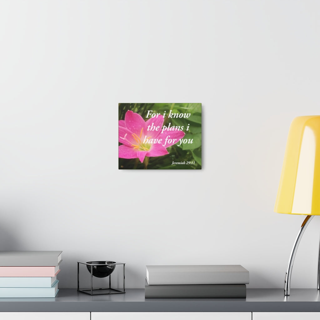 Plans I Have Jeremiah 29:11 Bible Verse Canvas Christian Wall Art Ready to Hang Unframed-Express Your Love Gifts