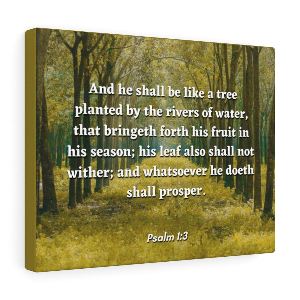 Shall Prosper Psalms 1:3 Bible Verse Canvas Christian Wall Art Ready to Hang Unframed-Express Your Love Gifts