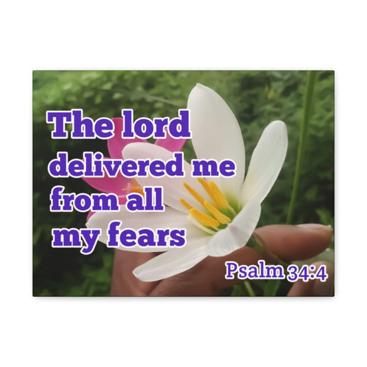 Scripture Walls The Lord Delivered Me Psalm 34:4 Bible Verse Canvas Christian Wall Art Ready to Hang Unframed-Express Your Love Gifts