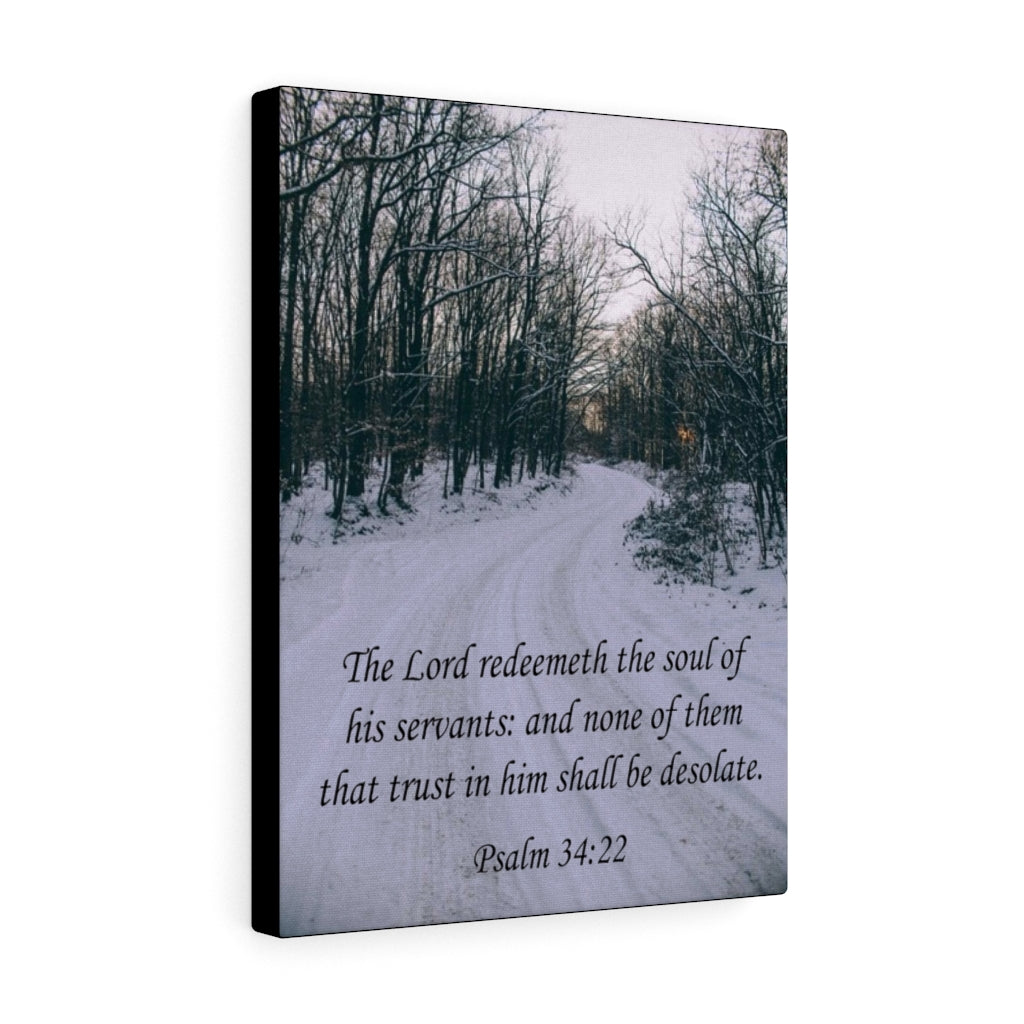 The Lord Redeemeth The Soul Psalm 34:22 Bible Verse Canvas Christian Wall Art Ready to Hang Unframed-Express Your Love Gifts
