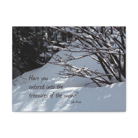 The Treasures Job 38:22 Bible Verse Canvas Christian Wall Art Ready to Hang Unframed-Express Your Love Gifts