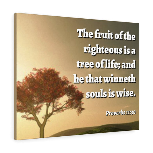 Tree Of Life Proverbs 11:30 Bible Verse Canvas Christian Wall Art Ready to Hang Unframed-Express Your Love Gifts