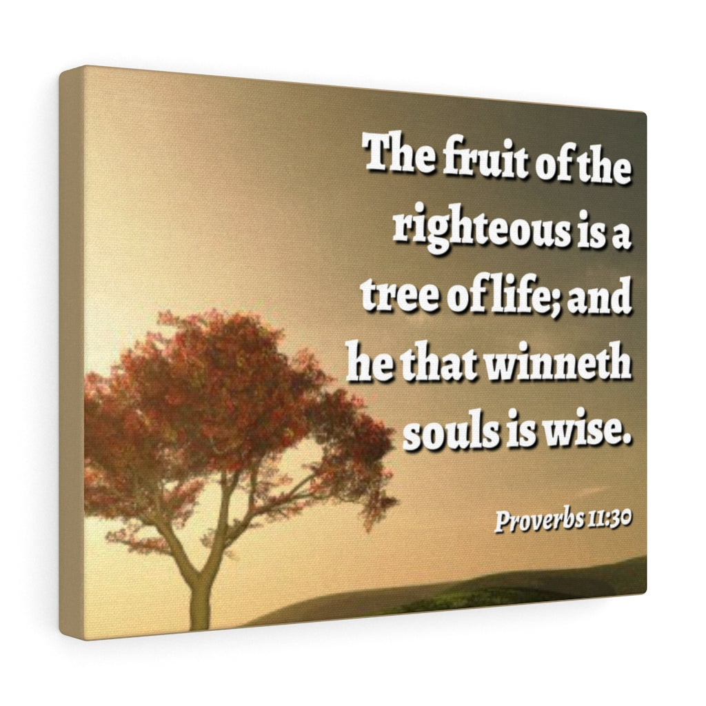 Tree Of Life Proverbs 11:30 Bible Verse Canvas Christian Wall Art Ready to Hang Unframed-Express Your Love Gifts