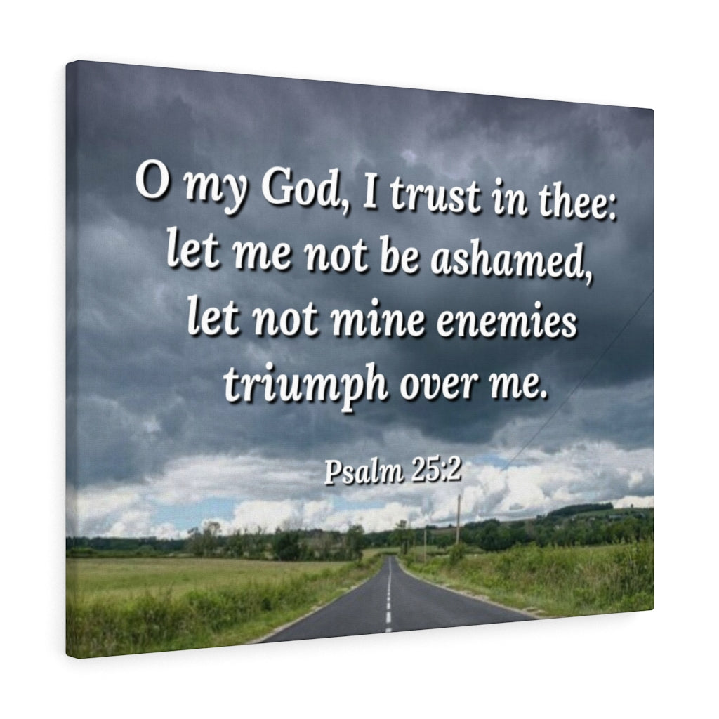 Triumph Psalm 25:2 Bible Verse Canvas Christian Wall Art Ready to Hang Unframed-Express Your Love Gifts