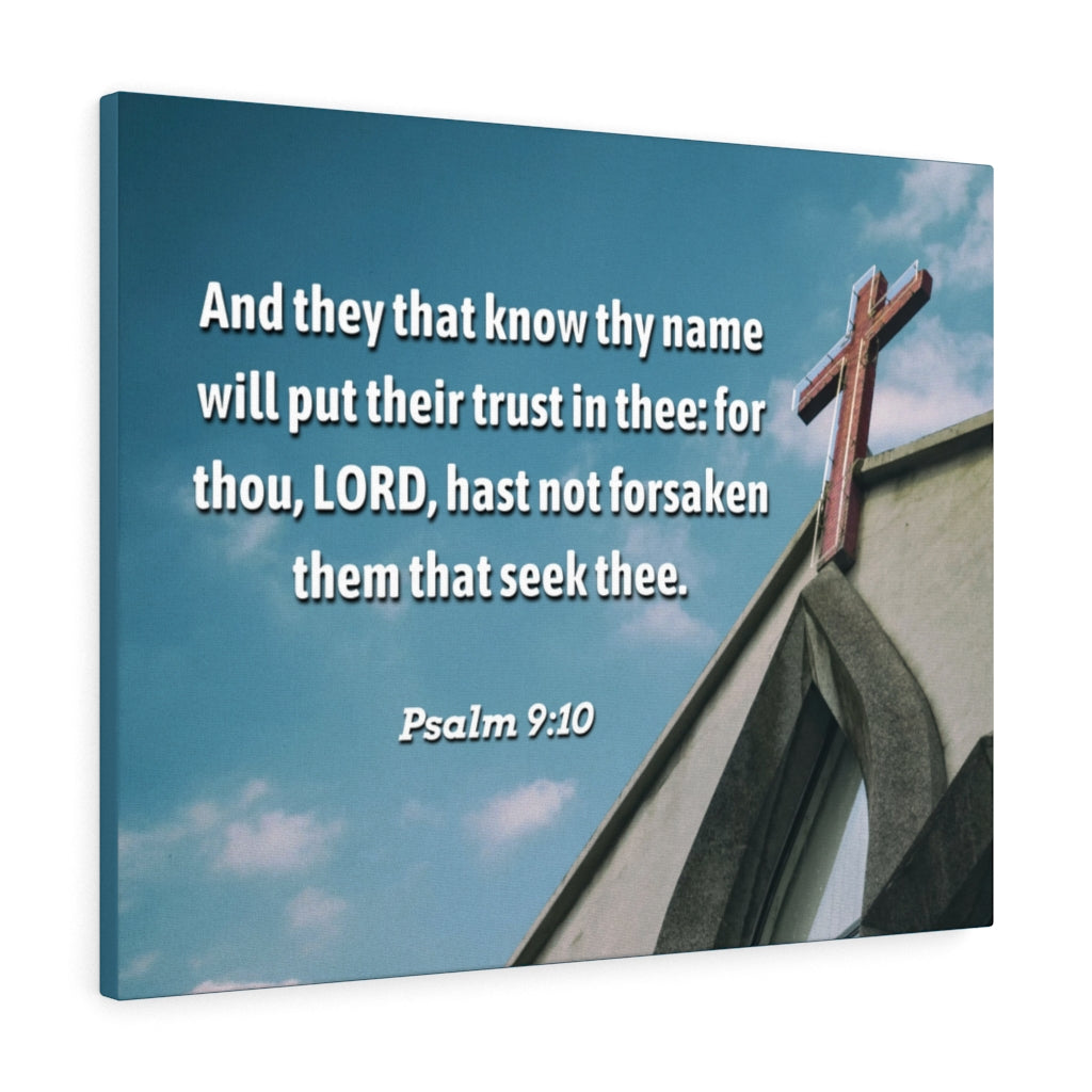 Trust In Thee Psalms 9:10 Bible Verse Canvas Christian Wall Art Ready to Hang Unframed-Express Your Love Gifts