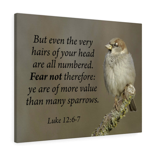 Value Luke 12:6-7 Bible Verse Canvas Christian Wall Art Ready to Hang Unframed-Express Your Love Gifts
