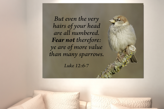Scripture Walls Value Luke 12:6-7 Bible Verse Canvas Christian Wall Art Ready to Hang Unframed-Express Your Love Gifts