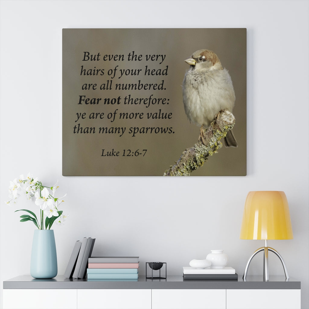 Scripture Walls Value Luke 12:6-7 Bible Verse Canvas Christian Wall Art Ready to Hang Unframed-Express Your Love Gifts