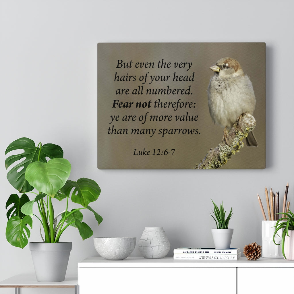 Scripture Walls Value Luke 12:6-7 Bible Verse Canvas Christian Wall Art Ready to Hang Unframed-Express Your Love Gifts