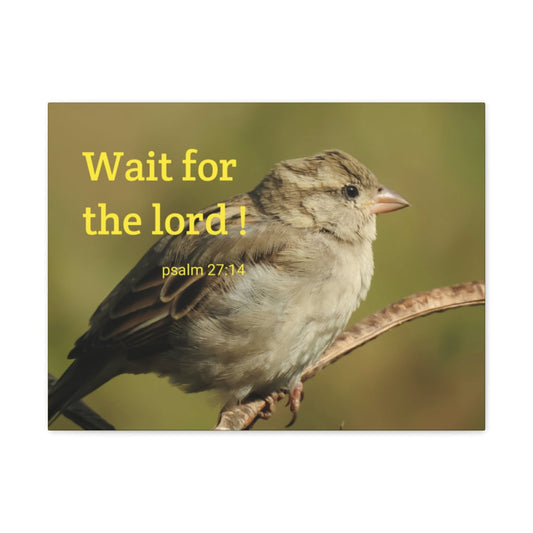 Scripture Walls Wait For The Lord Psalm 27:14 Bible Verse Canvas Christian Wall Art Ready to Hang Unframed-Express Your Love Gifts