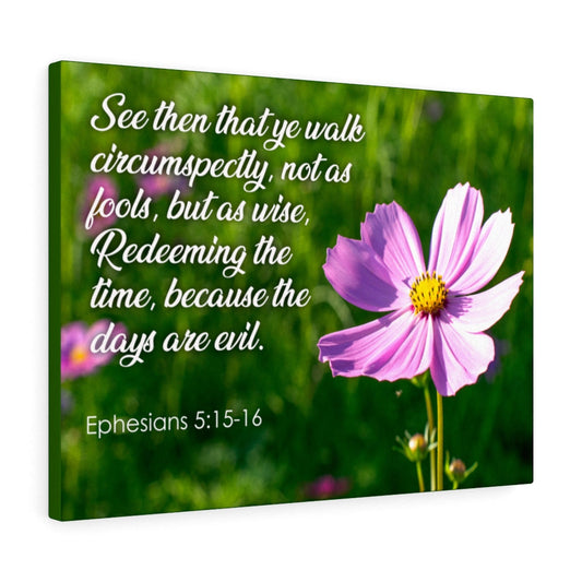 Walk Circumspectly Ephesians 5:15-16 Bible Verse Canvas Christian Wall Art Ready to Hang Unframed-Express Your Love Gifts