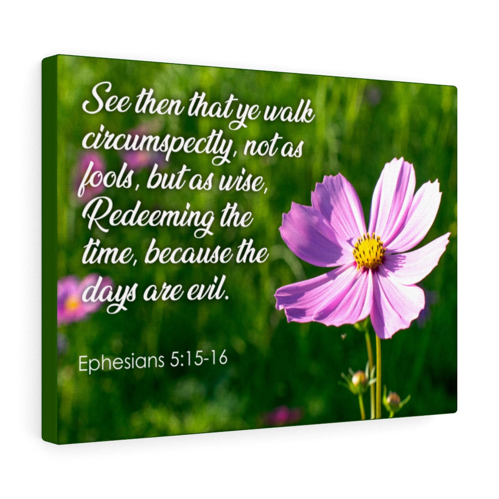 Scripture Walls Walk Circumspectly Ephesians 5:15-16 Bible Verse Canvas Christian Wall Art Ready to Hang Unframed-Express Your Love Gifts