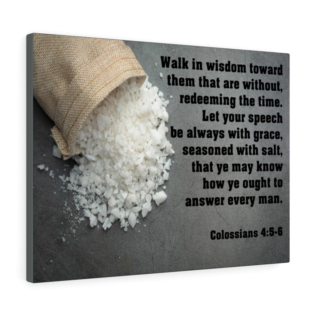 Walk in Wisdom Colossians 4:5-6 Bible Verse Canvas Christian Wall Art Ready to Hang Unframed-Express Your Love Gifts
