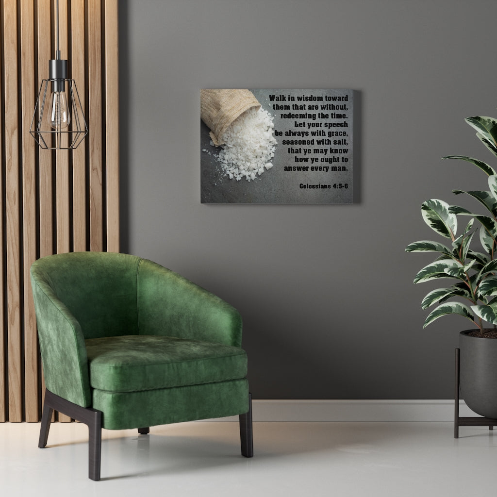 Scripture Walls Walk in Wisdom Colossians 4:5-6 Bible Verse Canvas Christian Wall Art Ready to Hang Unframed-Express Your Love Gifts
