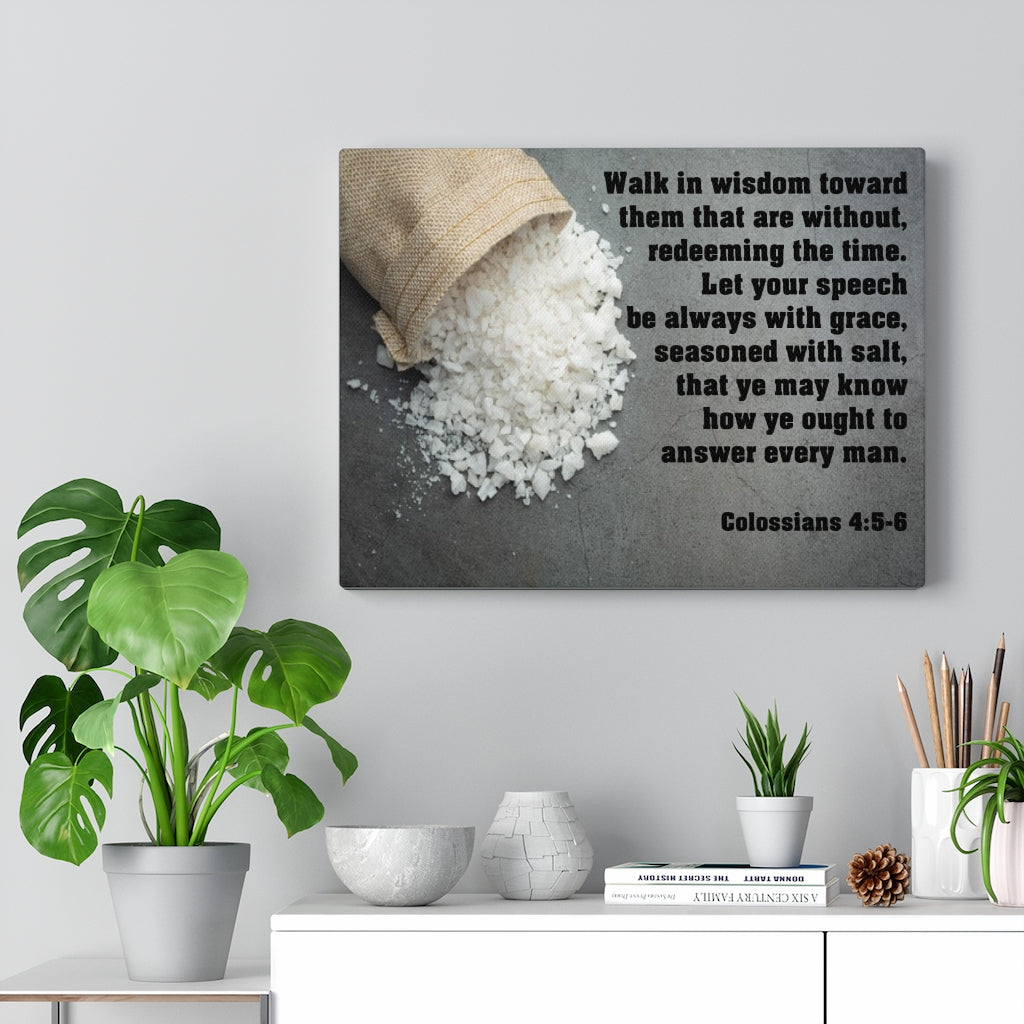 Scripture Walls Walk in Wisdom Colossians 4:5-6 Bible Verse Canvas Christian Wall Art Ready to Hang Unframed-Express Your Love Gifts