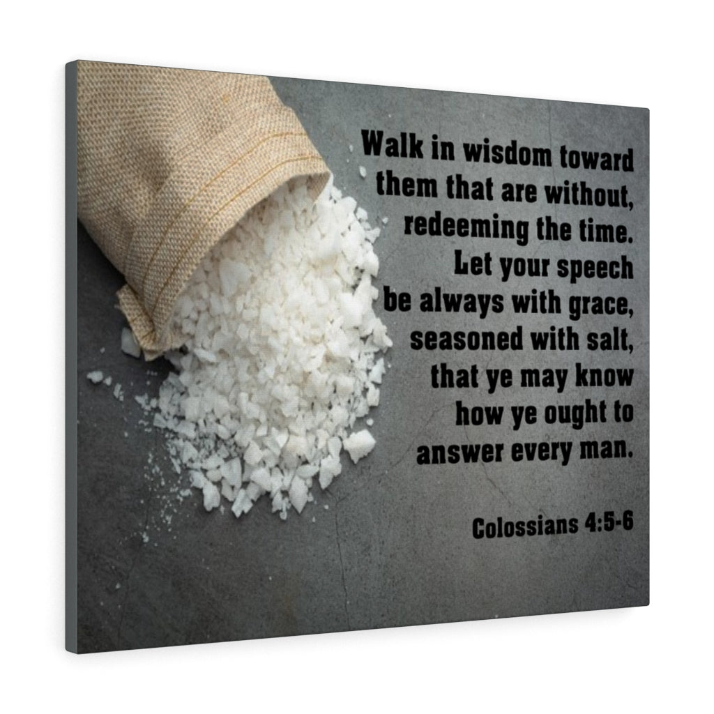 Scripture Walls Walk in Wisdom Colossians 4:5-6 Bible Verse Canvas Christian Wall Art Ready to Hang Unframed-Express Your Love Gifts