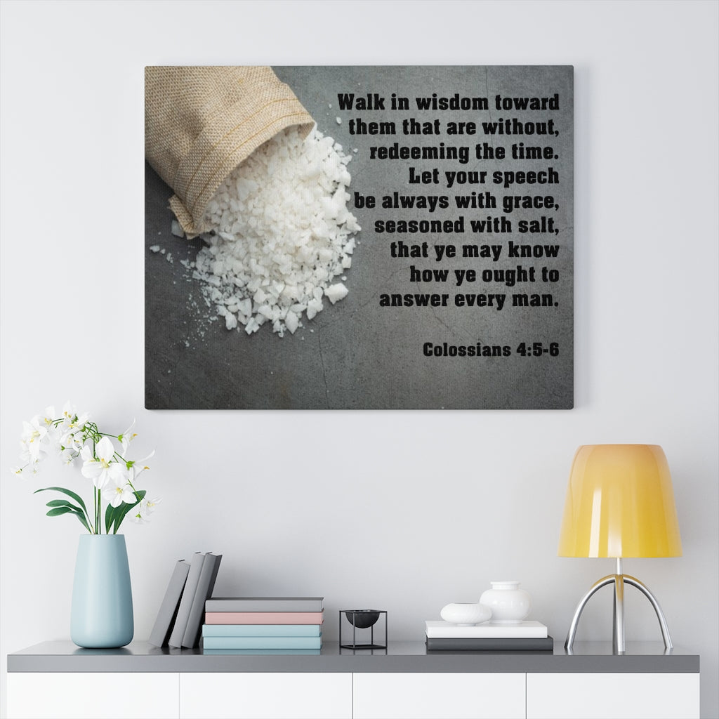 Scripture Walls Walk in Wisdom Colossians 4:5-6 Bible Verse Canvas Christian Wall Art Ready to Hang Unframed-Express Your Love Gifts
