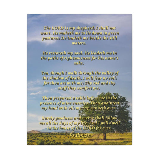 Scripture Walls Will Fear No Evil Psalm 23 Bible Verse Canvas Christian Wall Art Ready to Hang Unframed-Express Your Love Gifts