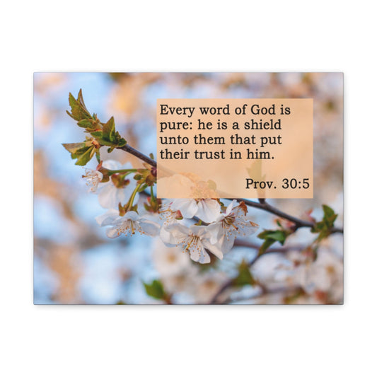 Word Of God Is Pure Proverbs 30:5 Bible Verse Canvas Christian Wall Art Ready to Hang Unframed-Express Your Love Gifts