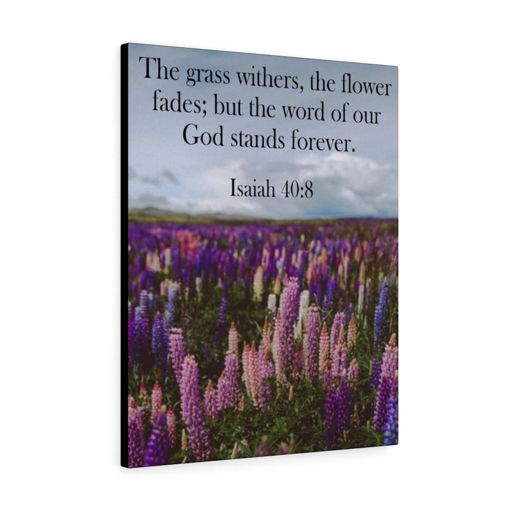 Word of God Stands Forever Isaiah 40:8 Bible Verse Canvas Christian Wall Art Ready to Hang Unframed-Express Your Love Gifts