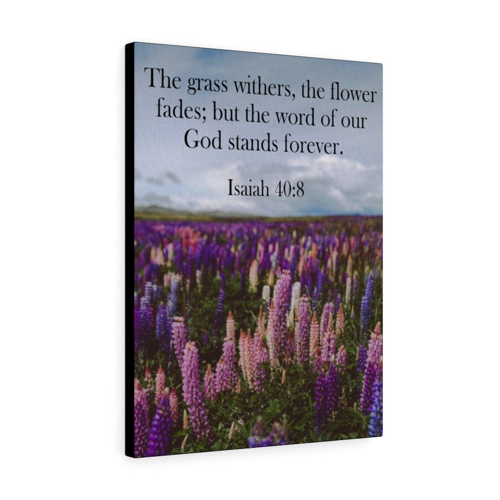 Scripture Walls Word of God Stands Forever Isaiah 40:8 Bible Verse Canvas Christian Wall Art Ready to Hang Unframed-Express Your Love Gifts