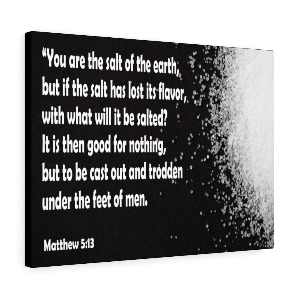 You Are The Salt of The Earth Matthew 5:13 Bible Verse Canvas Christian Wall Art Ready to Hang Unframed-Express Your Love Gifts